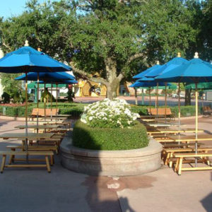 Patio Umbrella with Lights